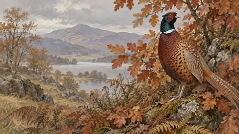 Pheasant among copper leaves – naturalist gouache Frame TV art