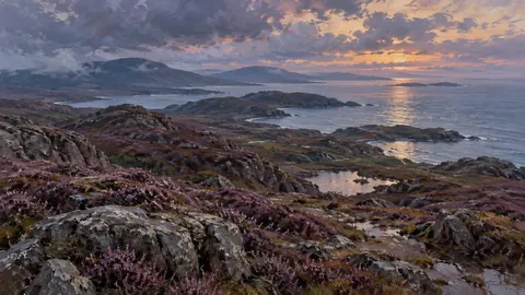 Wild coastal heath after rain – tonal oil painting Frame TV art