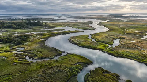 Salt marsh channels seen from above – fine-art photography Frame TV art