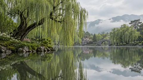 Willow trees reflected in a still pond – fine-art natural photography Frame TV art