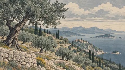 Olive grove on terraced limestone hills – japanese-inspired woodblock print Frame TV art