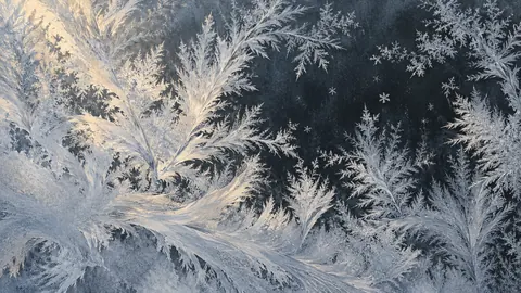 Ice crystals on a dark window pane – monochrome minimalist abstraction Frame TV art